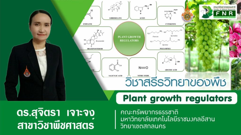 วิชาสรีรวิทยาของพืช โดย ดร.สุจิตรา เจาะจง อาจารย์สาขาวิชาพืชศาสตร์ มทร.อีสาน วข.สกลนคร