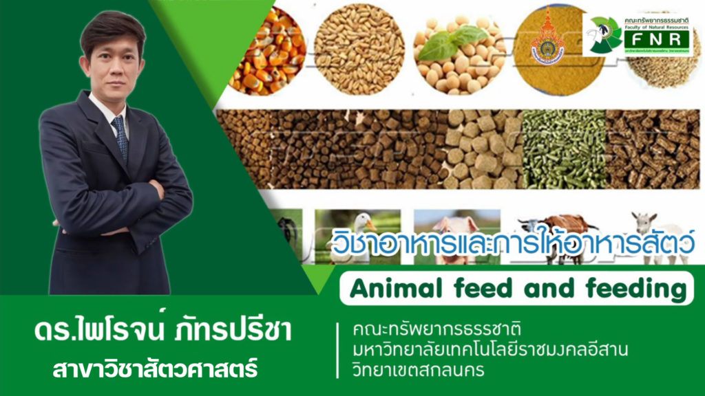 วิชาอาหารและการให้อาหารสัตว์ โดย ดร.ไพโรจน์ ภัทรปรีชา อาจารย์สาขาวิชาสัตวศาสตร์ มทร.อีสาน วข.สกลนคร