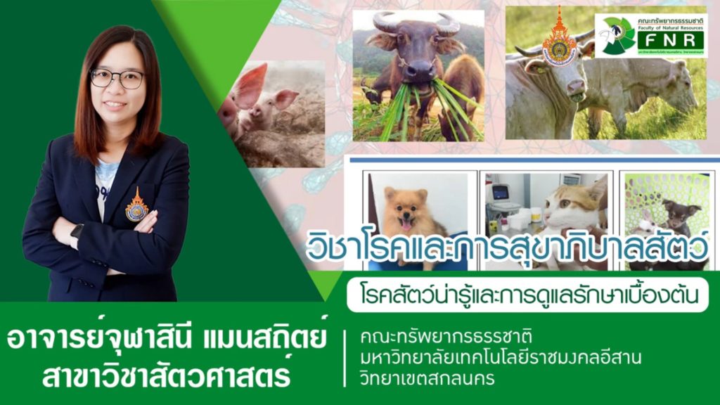 โรคและการสุขาภิบาลสัตว์ โดย อาจารย์จุฬาสินี แมนสถิตย์ อาจารย์สาขาวิชาสัตว์ศาสตร์ มทร.อีสาน วข.สกลนคร