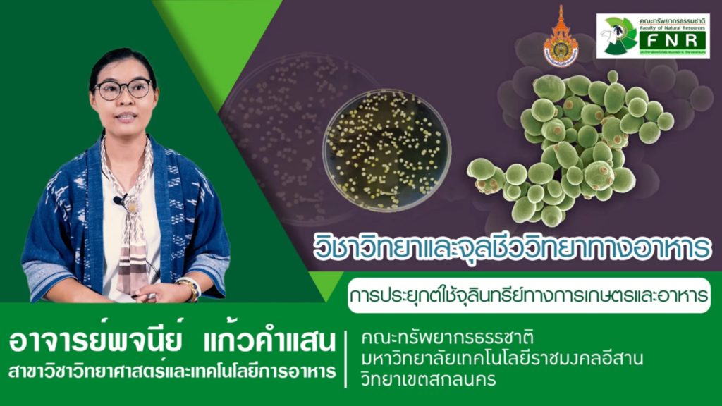 วิทยาและจุลชีววิทยาทางอาหาร โดย อาจารย์พจนีย์ แก้วคำสอน