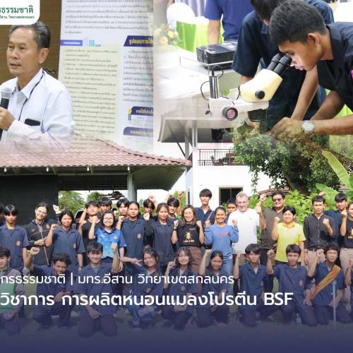 คณะทรัพยากรธรรมชาติให้บริการวิชาการ การผลิตหนอนแมลงโปรตีน BSF